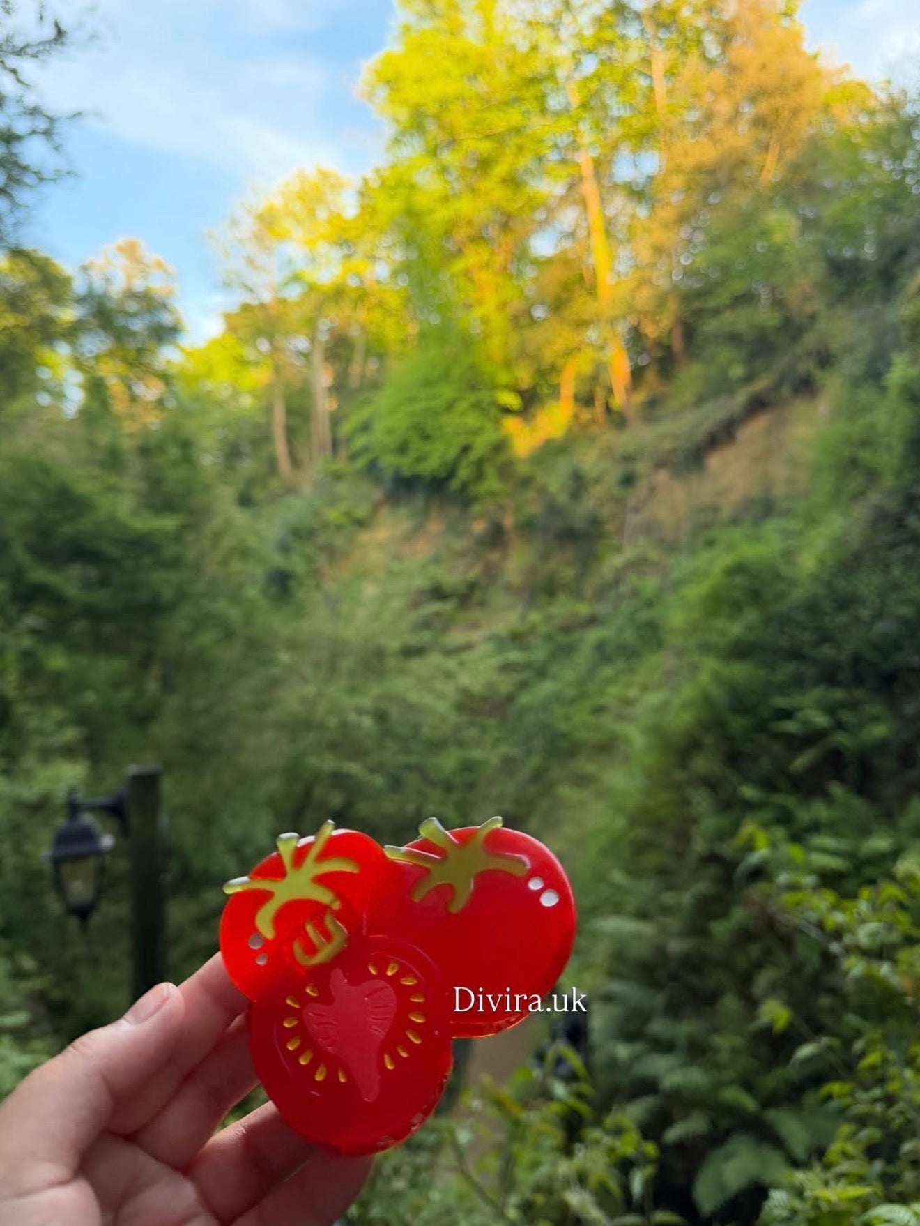 Tomato Claw Clip