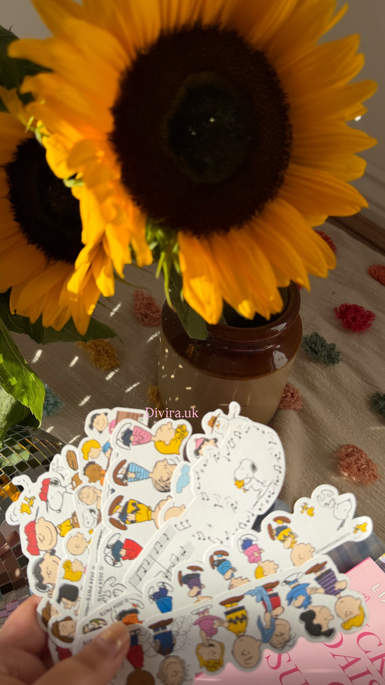 Accessories🧚