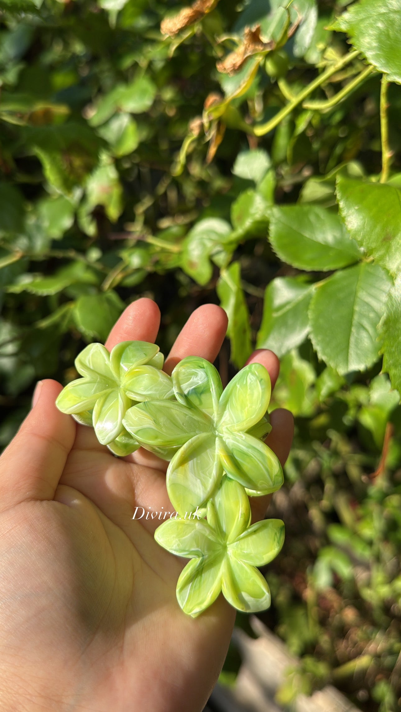 Green Claw Clip